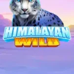 Himalayan Wild