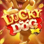 Lucky Dog