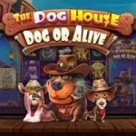 The Dog House – Dog or Alive