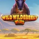 Wild Wildebeest Wins